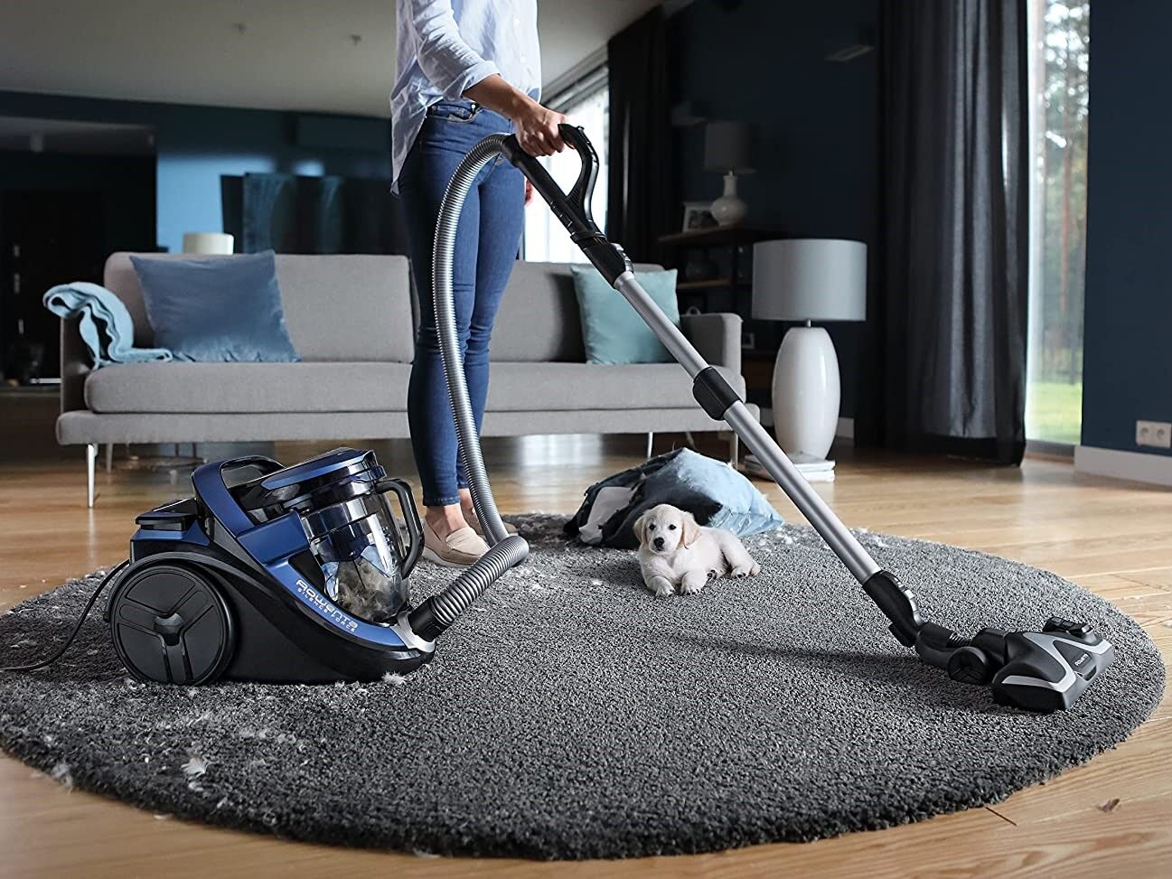 rowenta slience force cyclonic